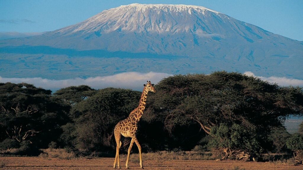 kenya