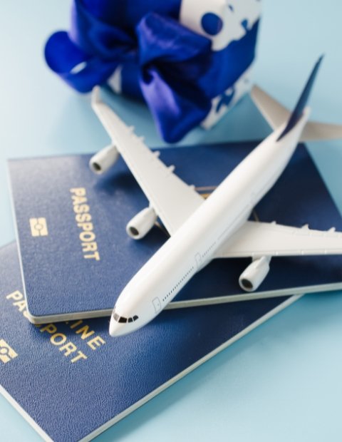 A2A Visa Change